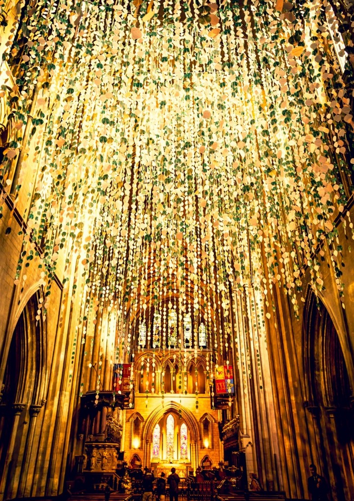 stunning....