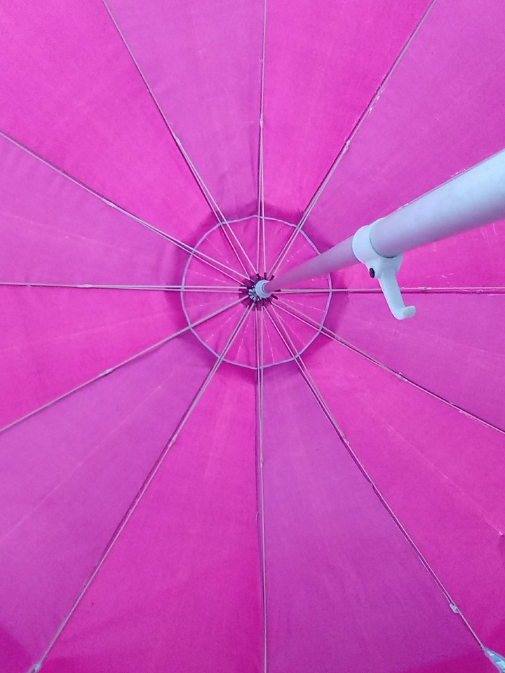 Pink Parasol