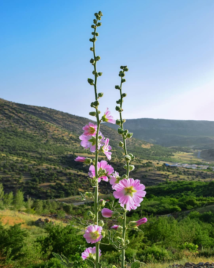 Lorestan Nature
