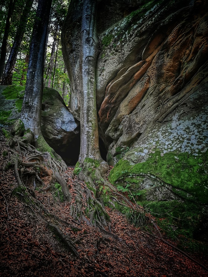 Karpaty Ukraine