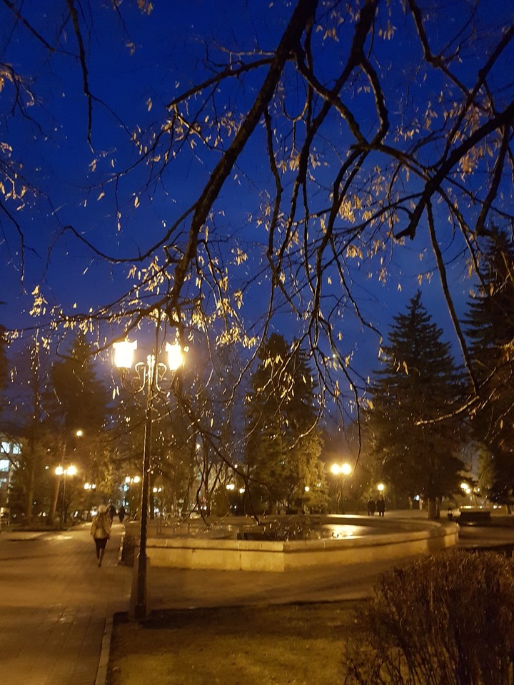вечерний сквер