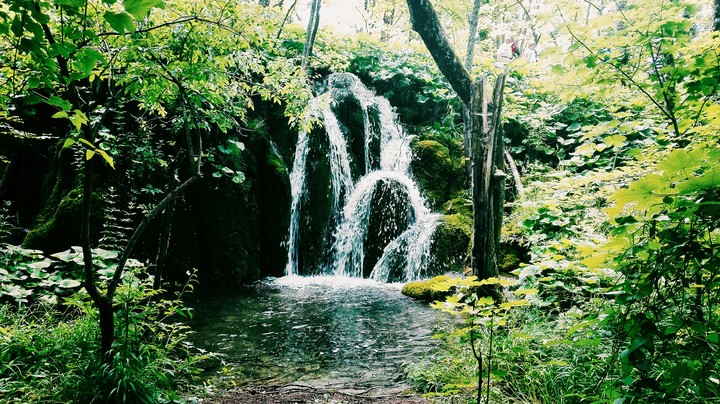 because every one love nature