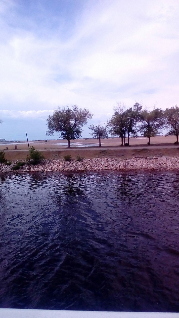 Дон
