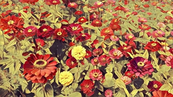 Taiwan Taichung high speed rail station garden
