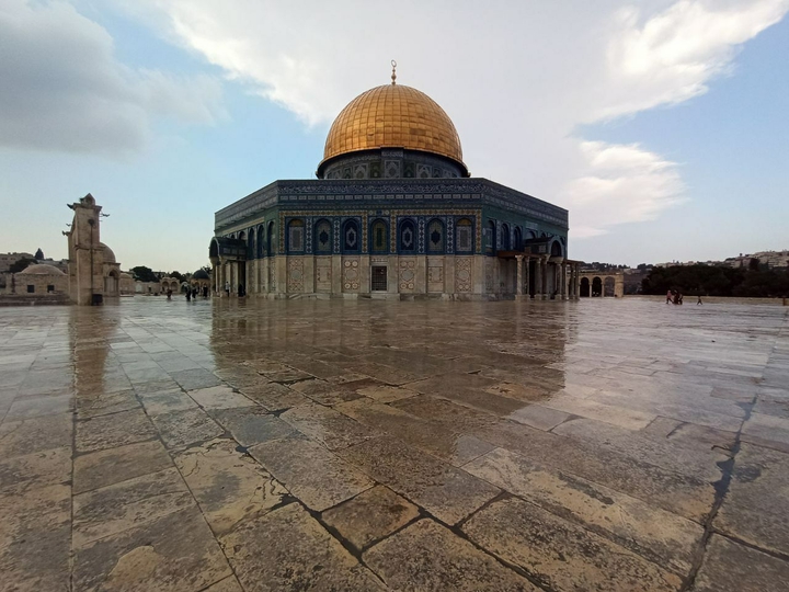 free palestine
