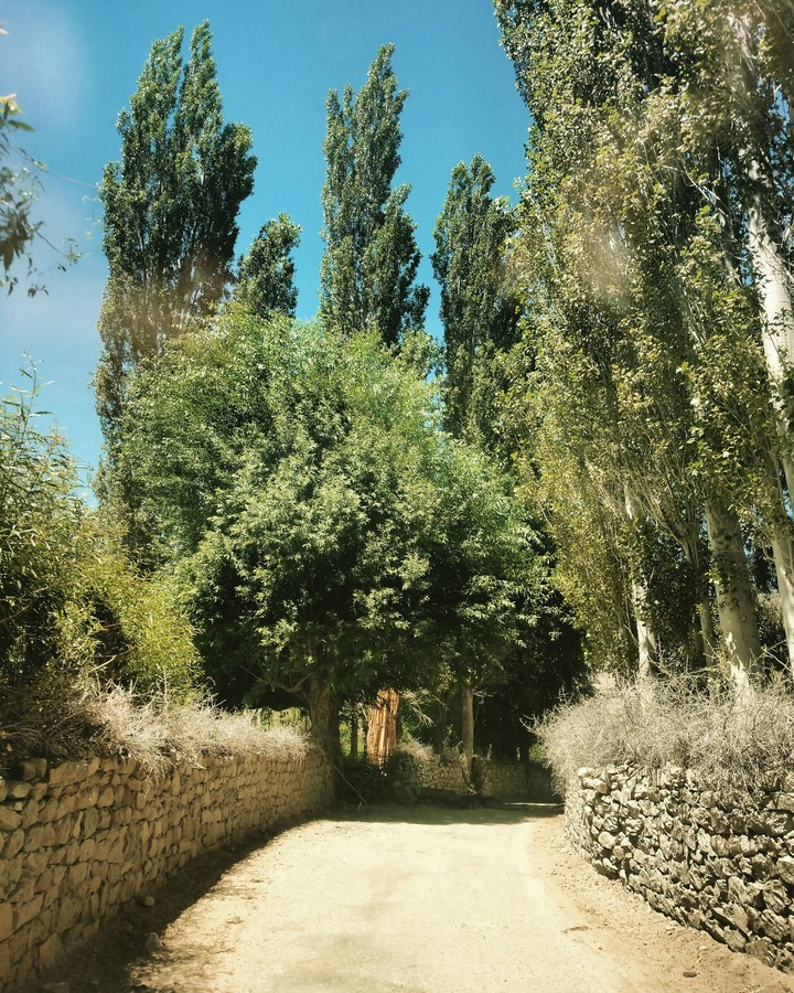 Village roadside