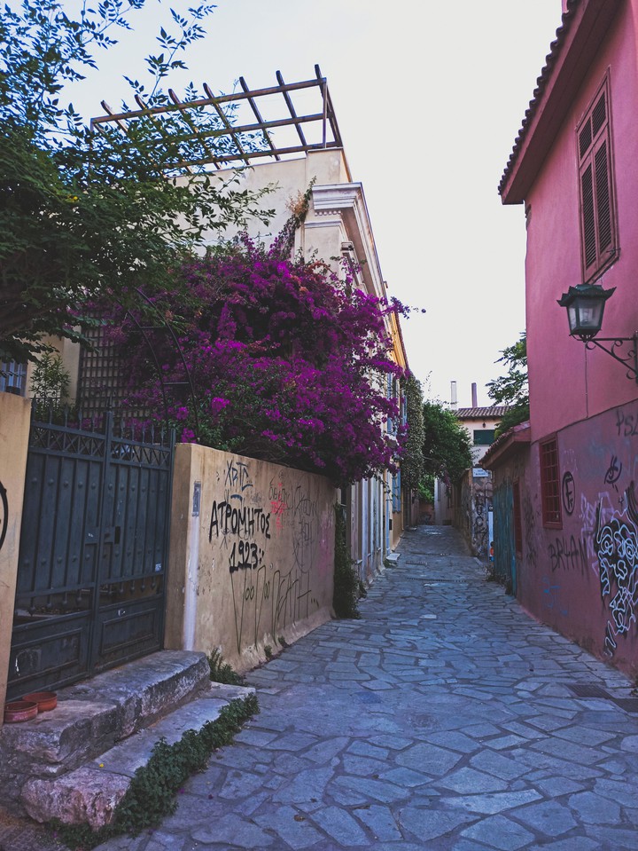 purple