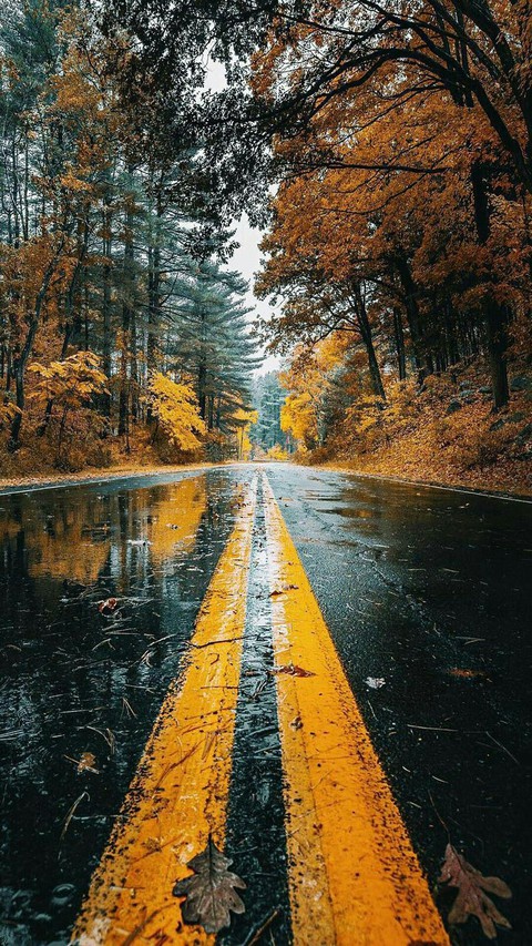 autumn road