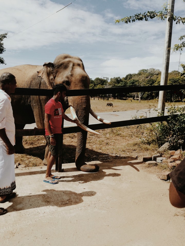 Sri lanka