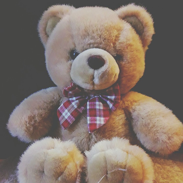 little Teddy, big bow