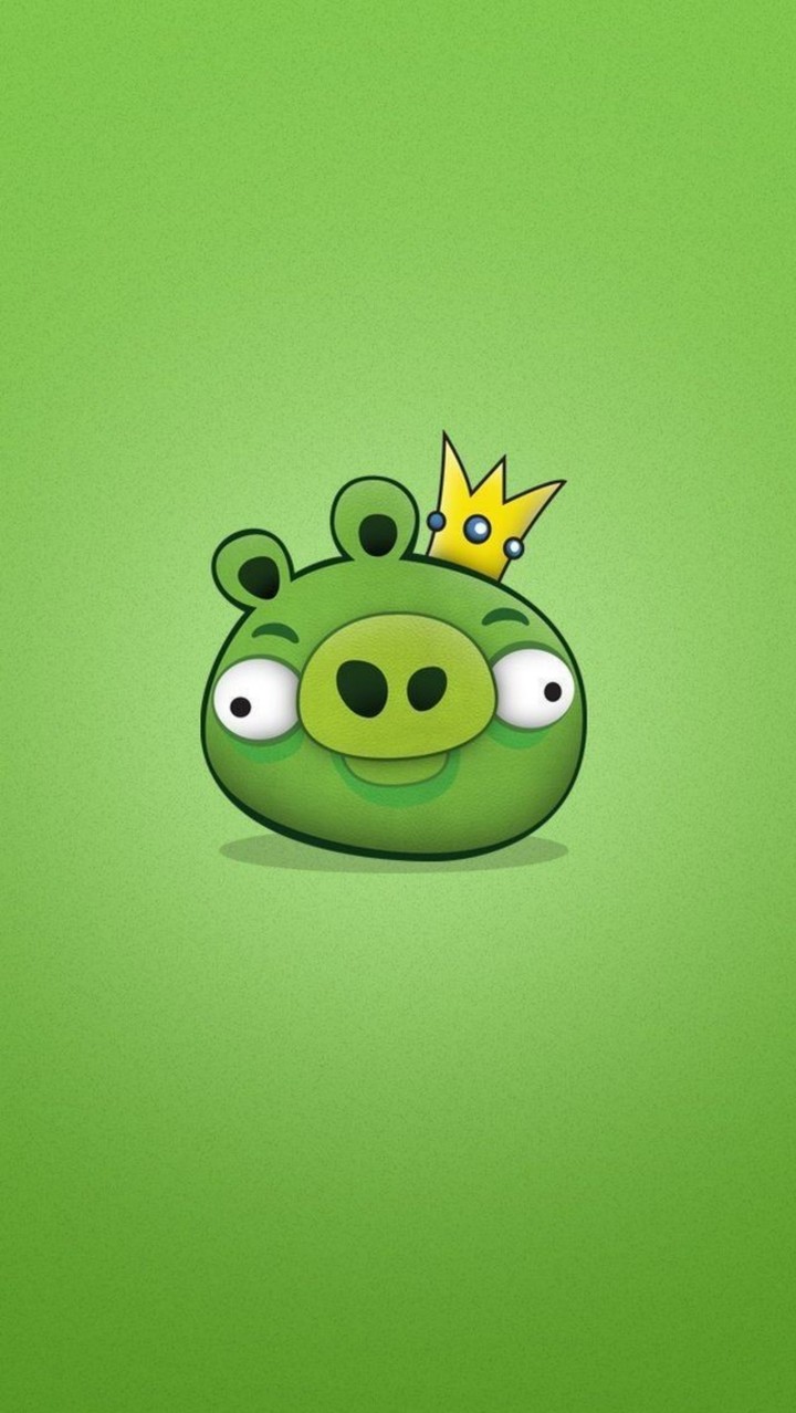 pig from the angry birds