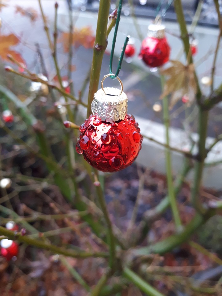 Christmas ball