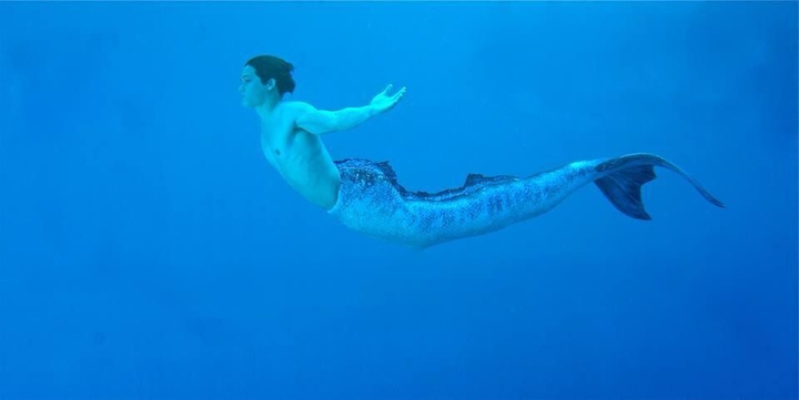 THE TRITON ZAC