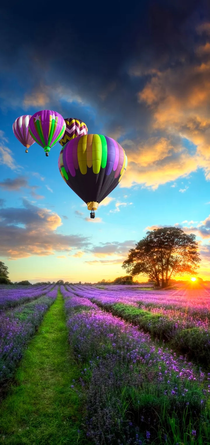 Nature