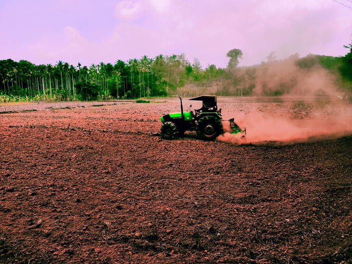 farming