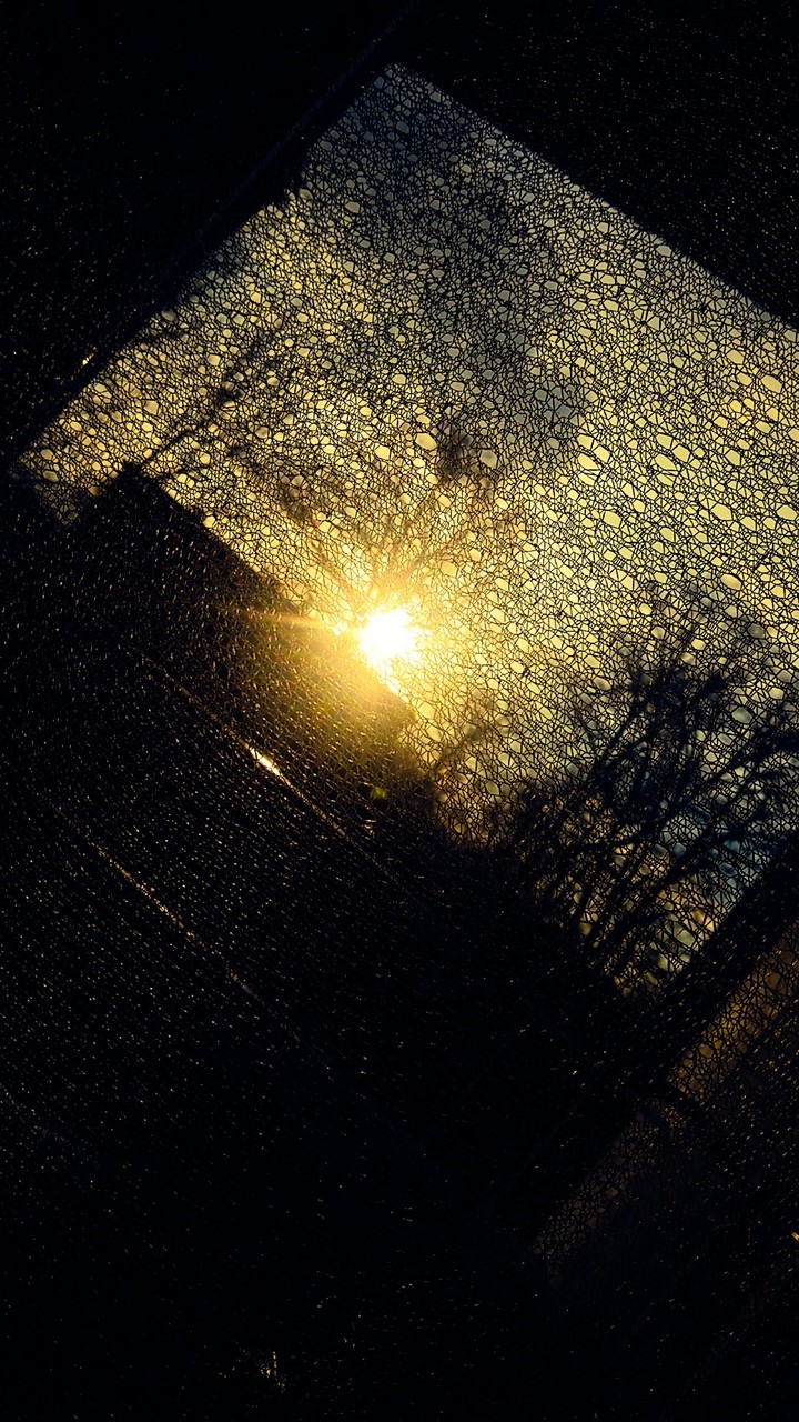 Sunny day