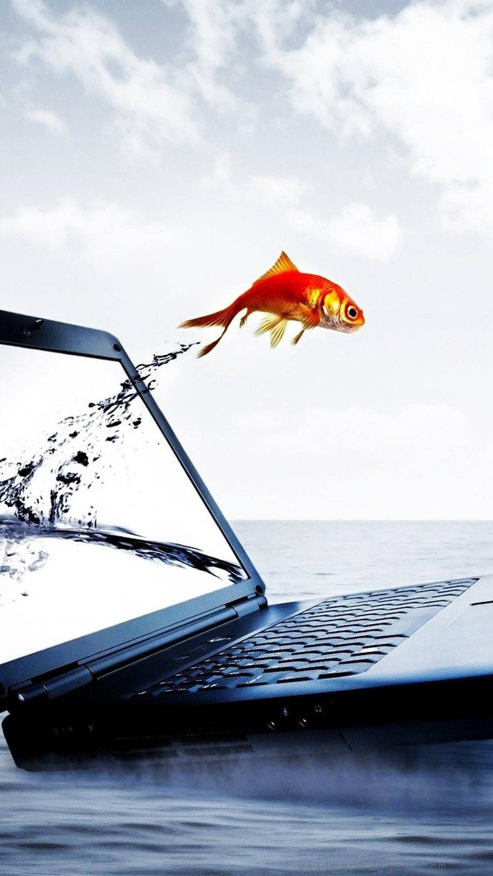 Laptop Fish