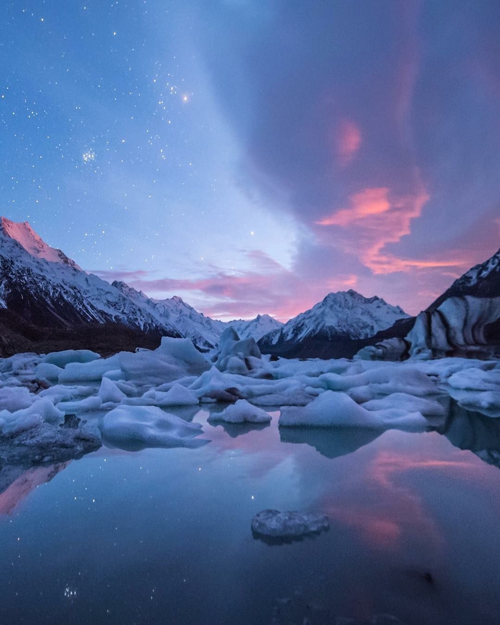 Arctic