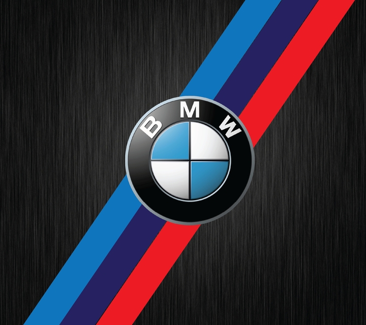 BMW LOGO