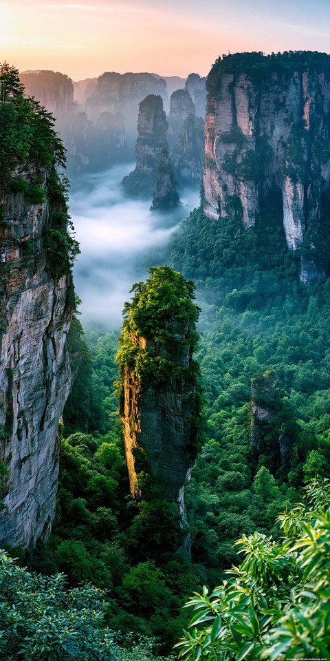 Cliff, 雨林壁纸