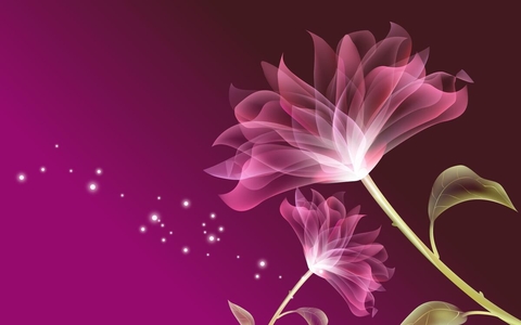 light flowers