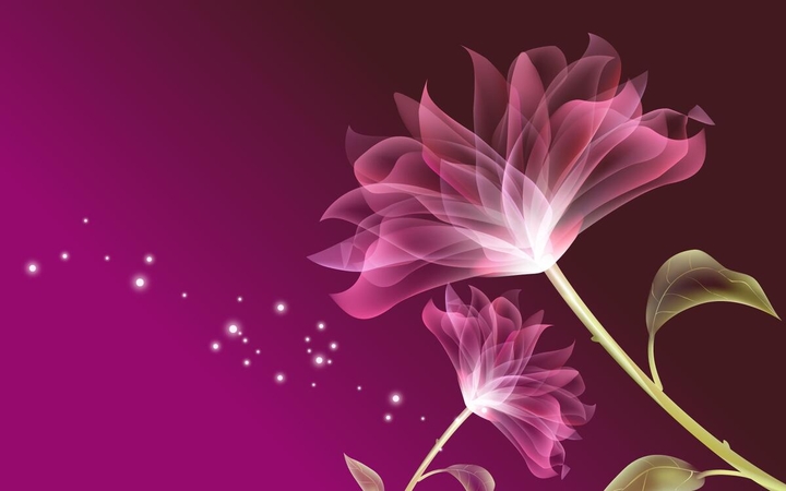 light flowers