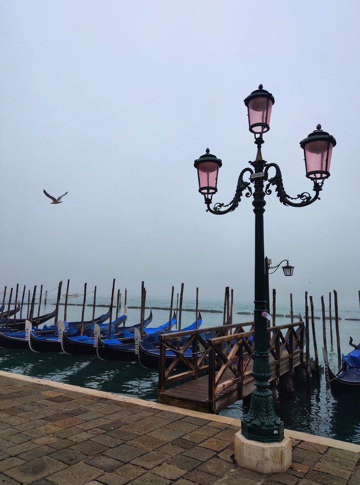 Venezia