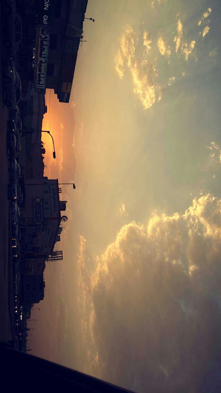 sunlight