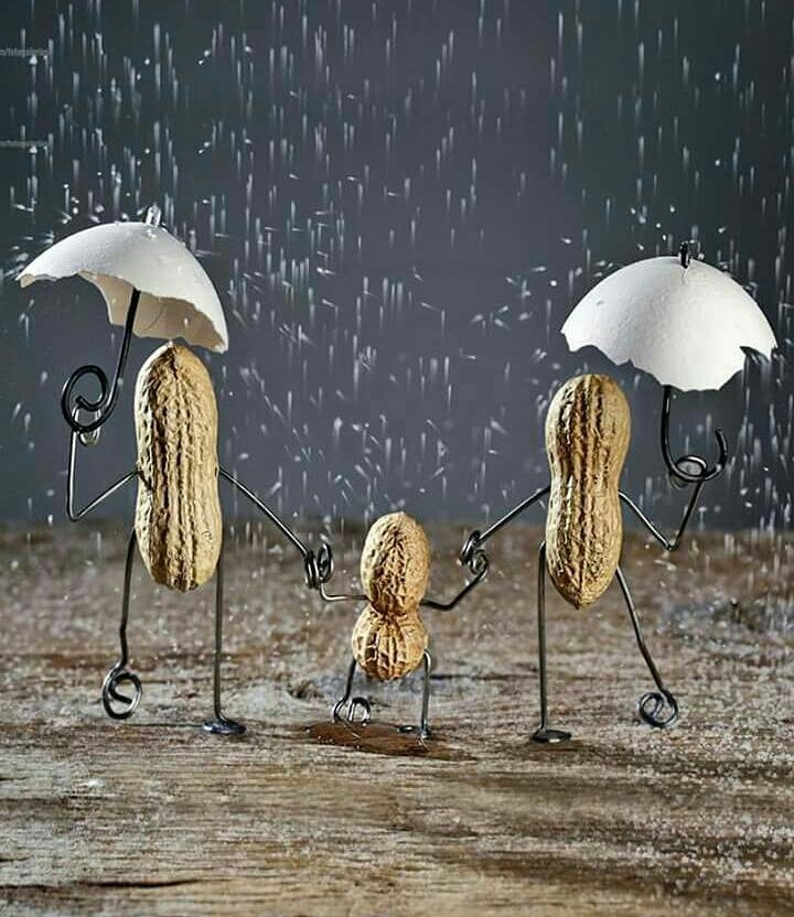 family