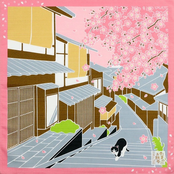 serie pañuelo gato escaleras