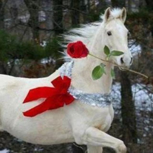 #unicorn noble