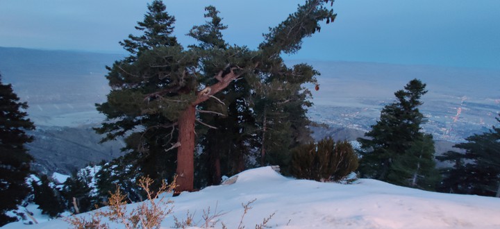 Winter Landscape in the Mountains