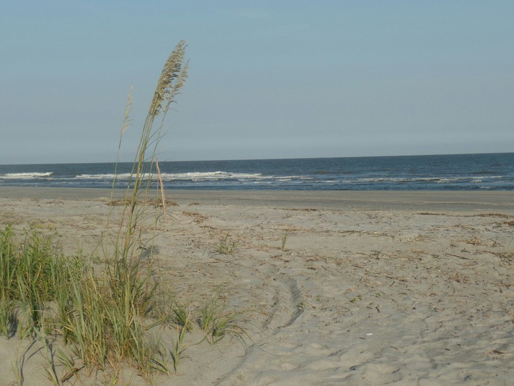 Isle of Palms beach