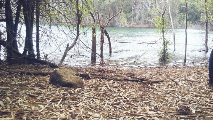 Neyyar Forest,kerala,India