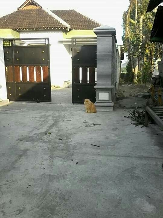 penjaga rumah
