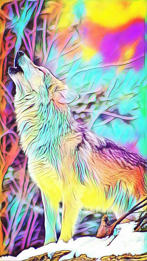 RAINBOW WOLF