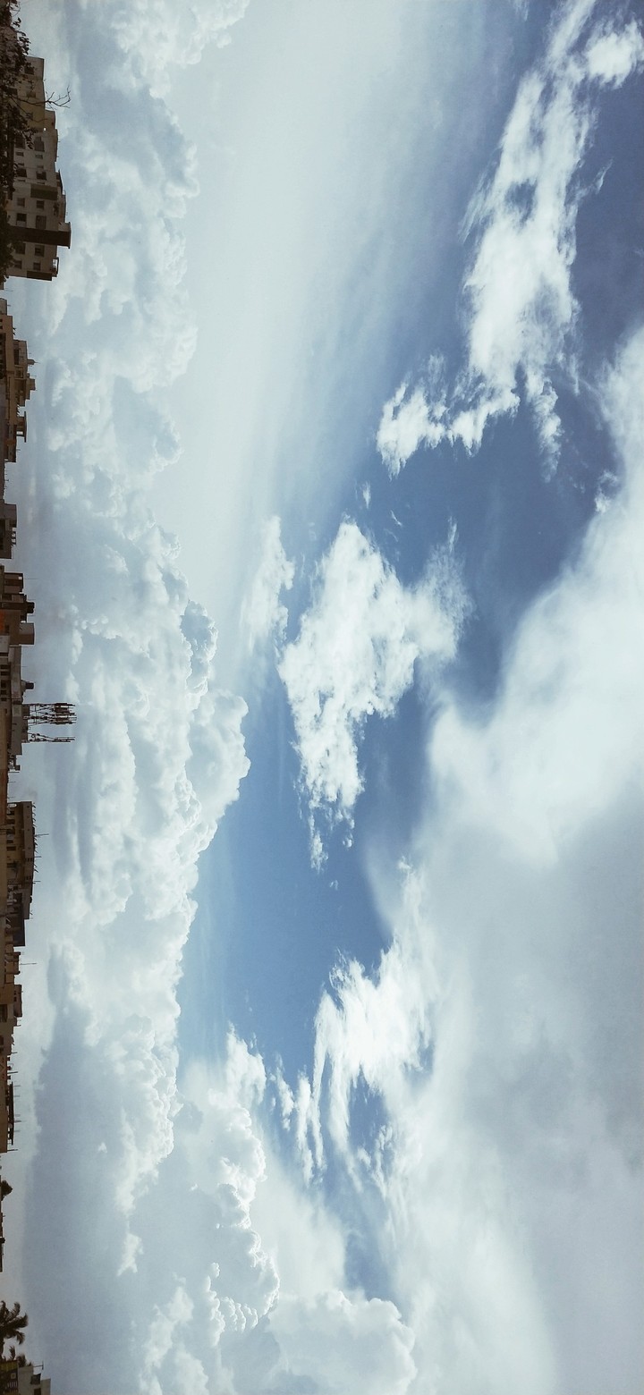 nature