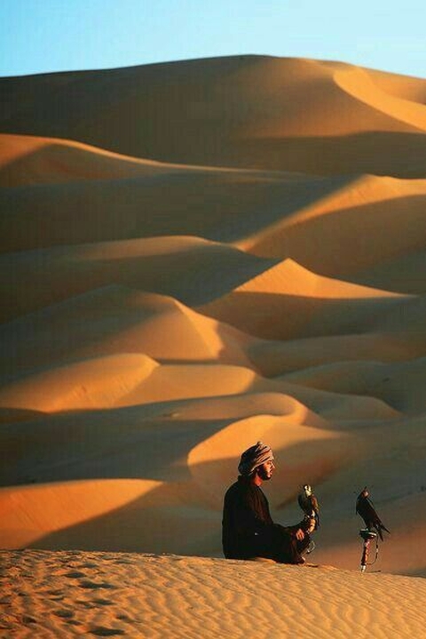 Desert, Natural_environment, Erg