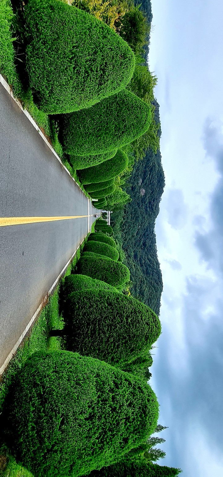풍경