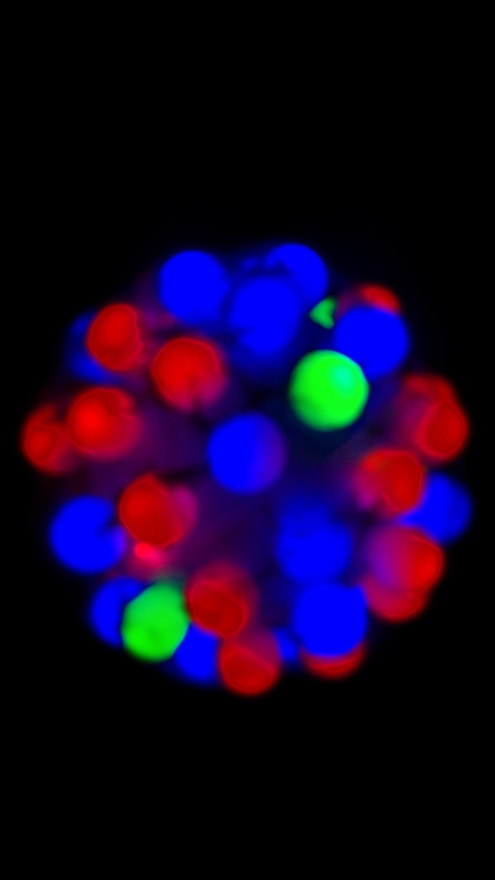 Color