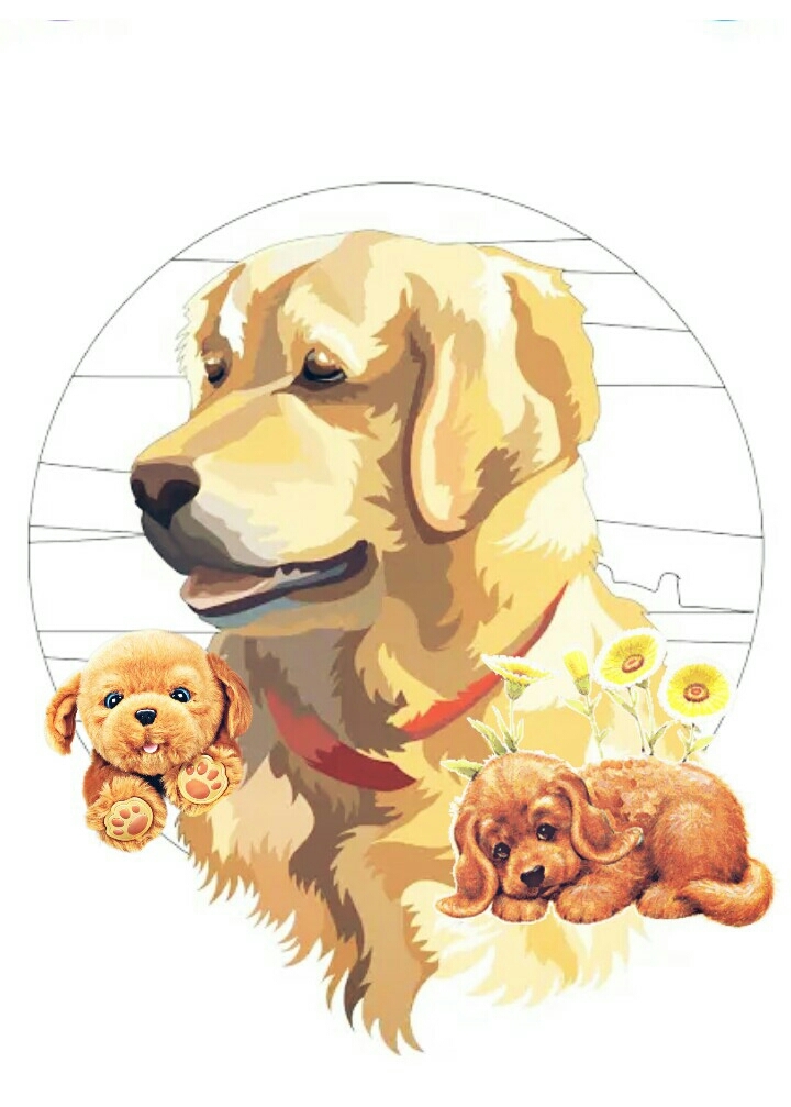 DOG KPOP ART