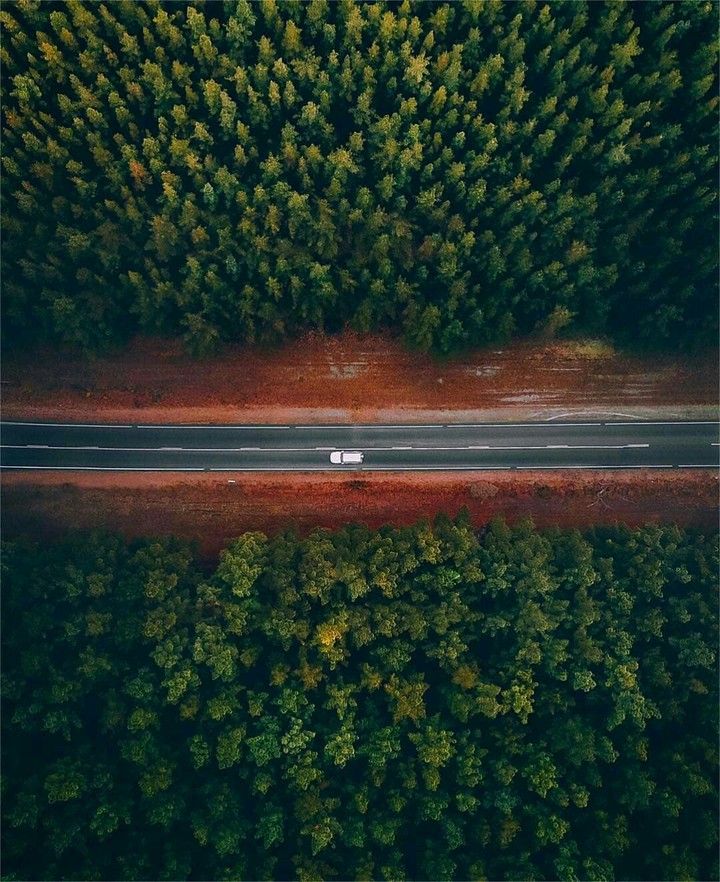 road through the forest