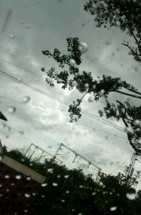 বৃষ্টি (rain)