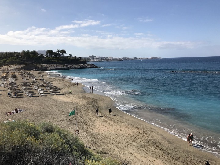 canaries