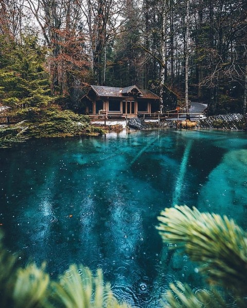 nature