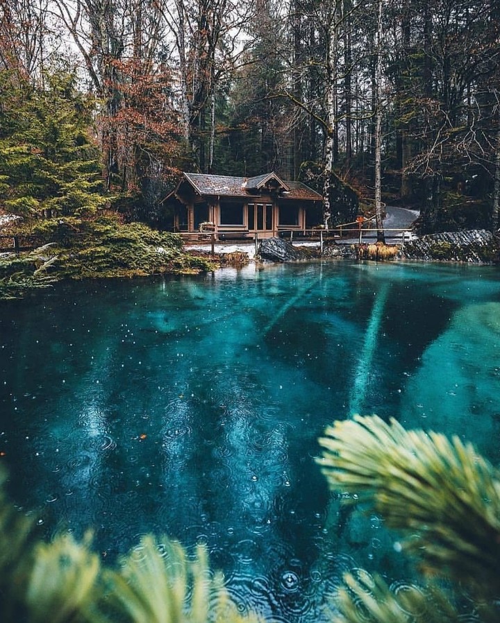 nature
