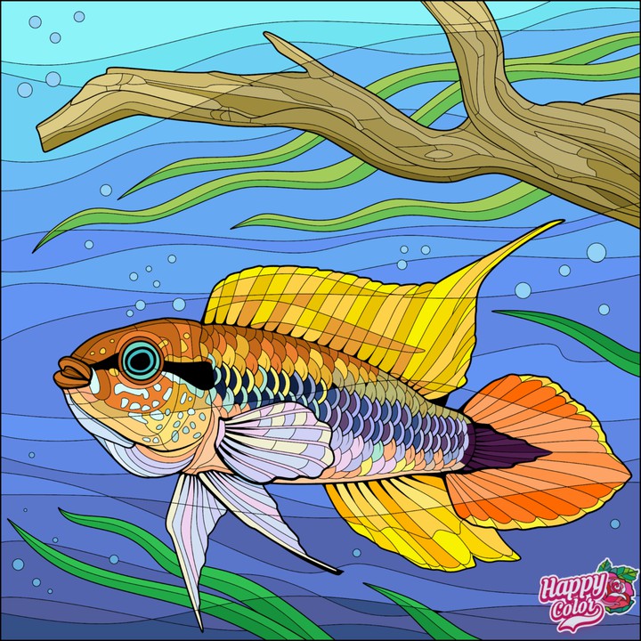 Peixe