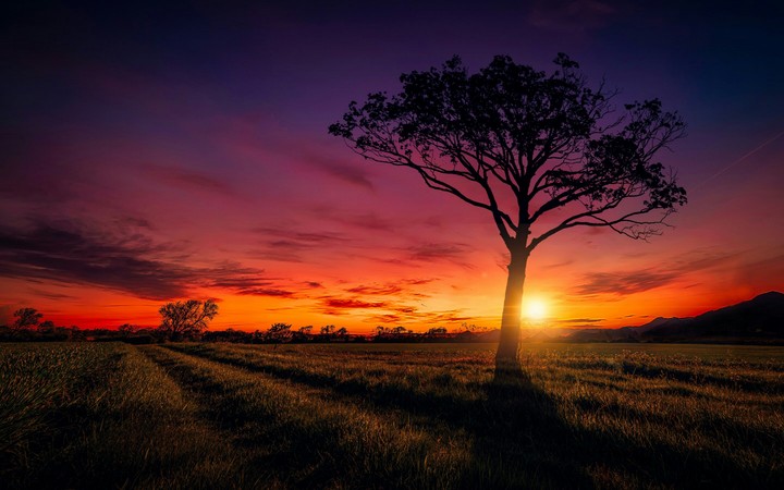 sunset