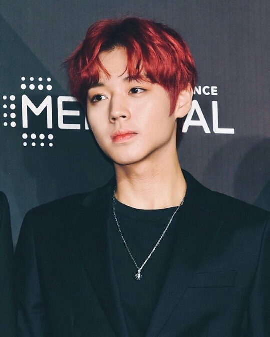 Wanna One