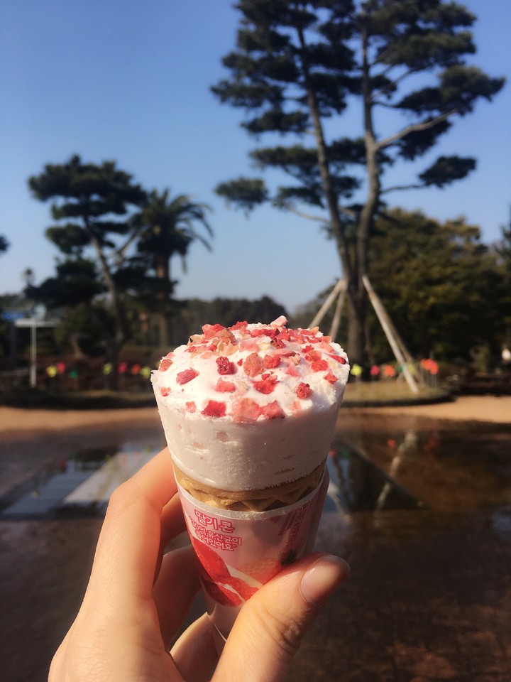 Yummy days